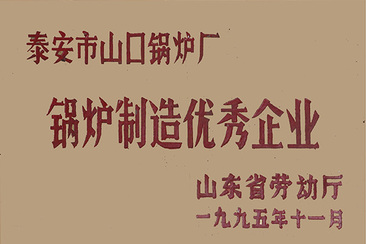锅炉制造优秀企业(图1)