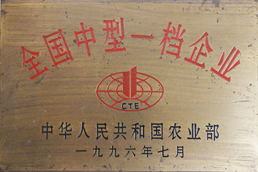 全国中型一档企业(图1)