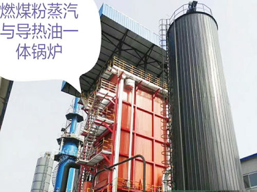 山东鲁怡制衣有限公司25吨一体炉(图1)